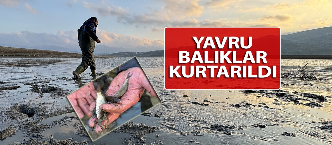 Yavru balıklar kurtarıldı