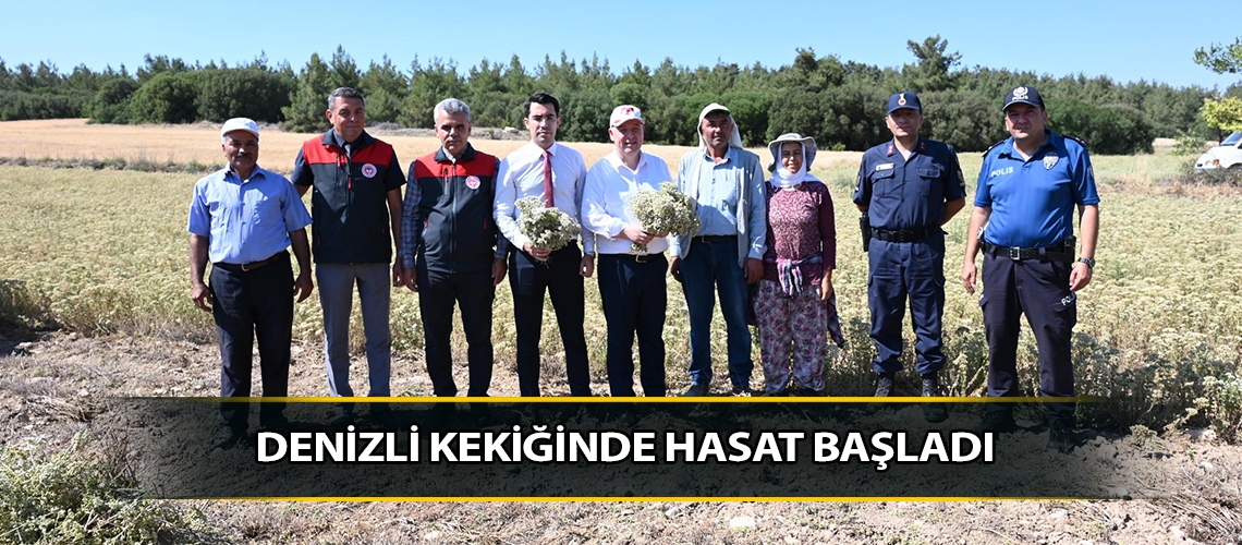Denizli kekiğinde hasat başladı