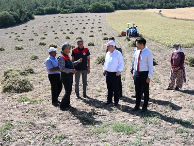 Denizli kekiğinde hasat başladı