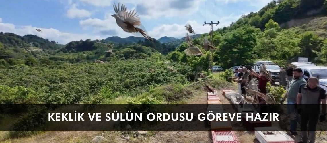 Keklik ve sülün ordusu göreve hazır