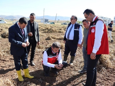 Kelkit şeker fasulyesinde hasat başladı