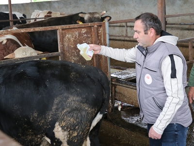 Tokat’ta keneyle mücadele hız kazandı