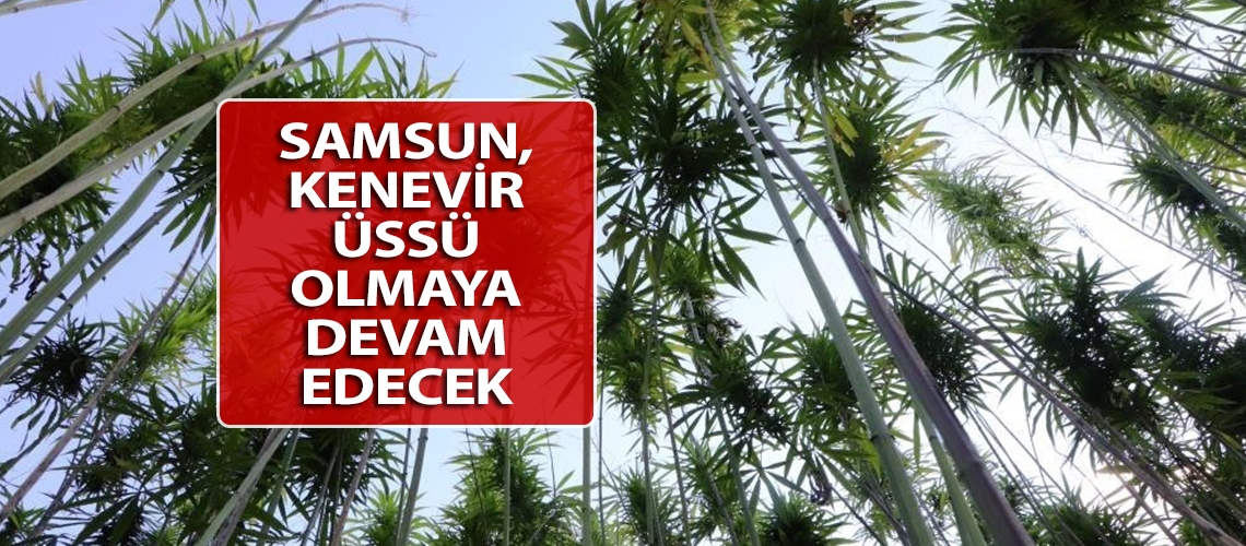 Samsun, kenevir üssü olmaya devam edecek