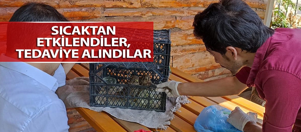 Sıcaktan etkilendiler, tedaviye alındılar