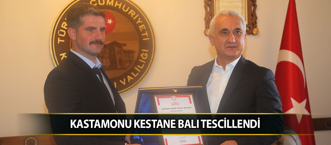 Kastamonu kestane balı tescillendi