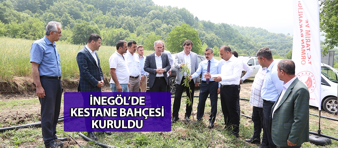 İnegöl’de kestane bahçesi kuruldu