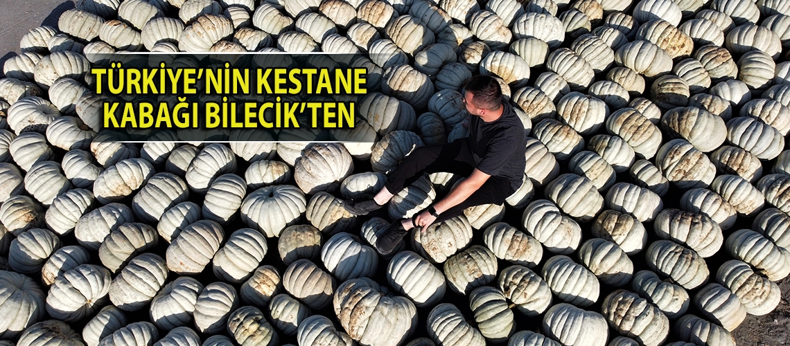 Türkiye’nin kestane kabağı Bilecik’ten