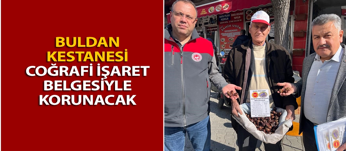 Buldan kestanesi coğrafi işaret belgesiyle korunacak