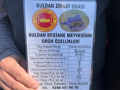 Buldan kestanesi coğrafi işaret belgesiyle korunacak