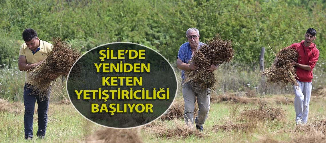 Şile’de yeniden keten yetiştiriciliği başlıyor