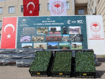 Kilis’te bitkisel üretim desteklerle güçleniyor