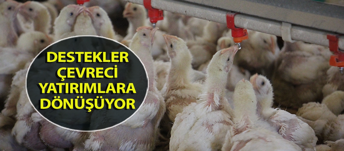Destekler çevreci yatırımlara dönüşüyor