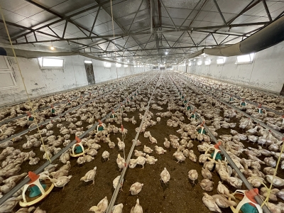 Destekler çevreci yatırımlara dönüşüyor