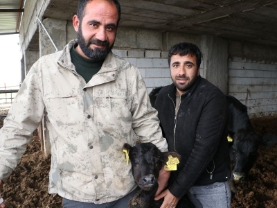 Kırsaldaki çiftlikler hayvan desteğiyle bereketleniyor