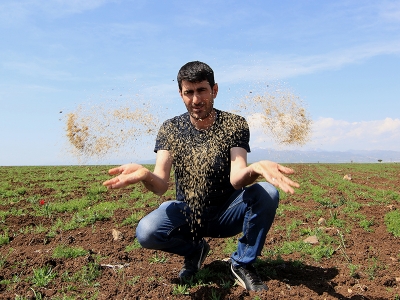 Destekle kinoayı ihraç etti