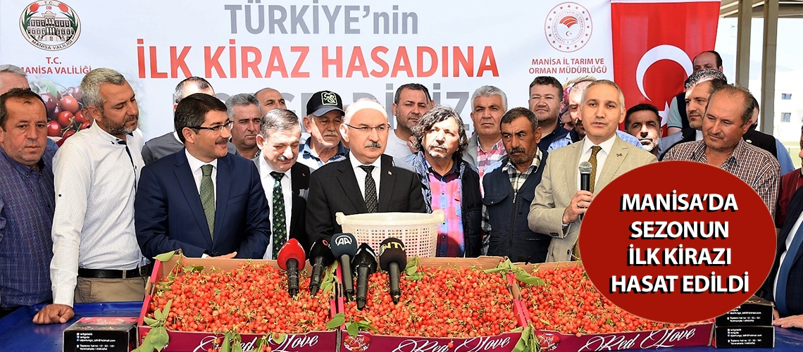 Manisa’da sezonun ilk kirazı hasat edildi