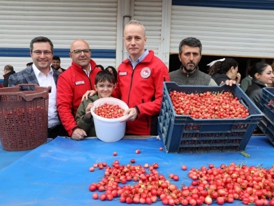 Manisa'da yılın ilk kiraz hasadı yapıldı