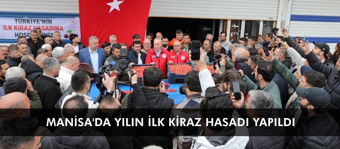 Manisa'da yılın ilk kiraz hasadı yapıldı