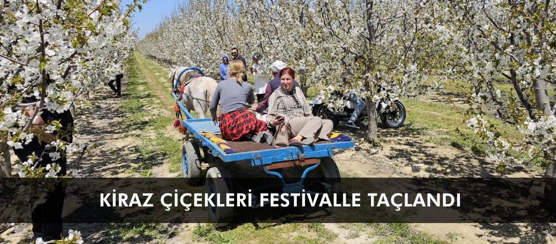 Kiraz çiçekleri festivalle taçlandı
