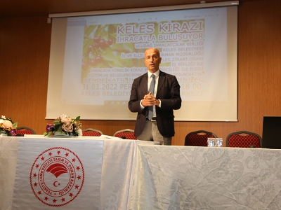 Bursa’da kirazlar ihracata hazırlanıyor