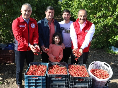 Kuzey Yarım Kürenin ilk kirazı Manisa’dan