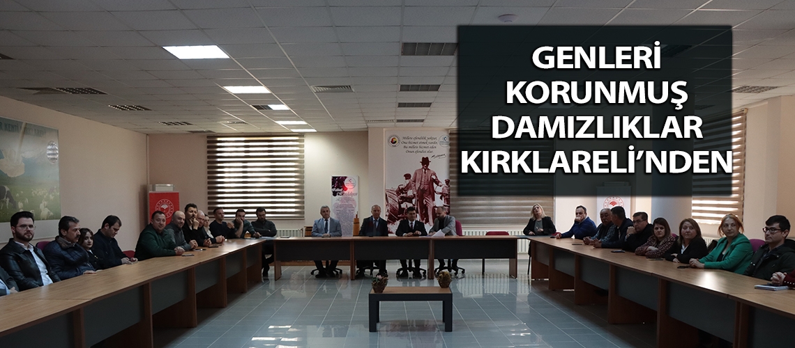 Genleri korunmuş damızlıklar Kırklareli’nden