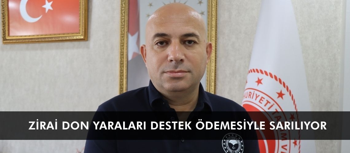 Zirai don yaraları destek ödemesiyle sarılıyor