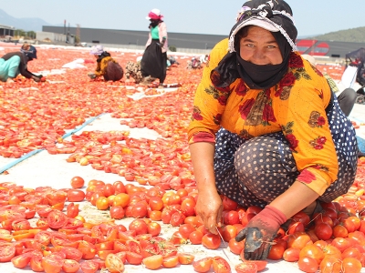Kurutulan domateslerden görsel şölen