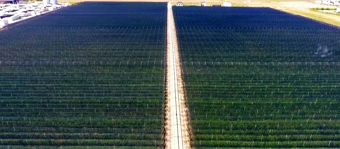 Kırsal Kalkınma Yatırımları