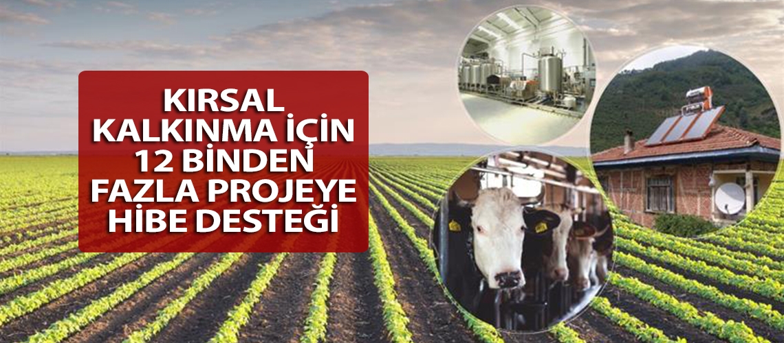 Kırsal kalkınma için 12 binden fazla projeye hibe desteği
