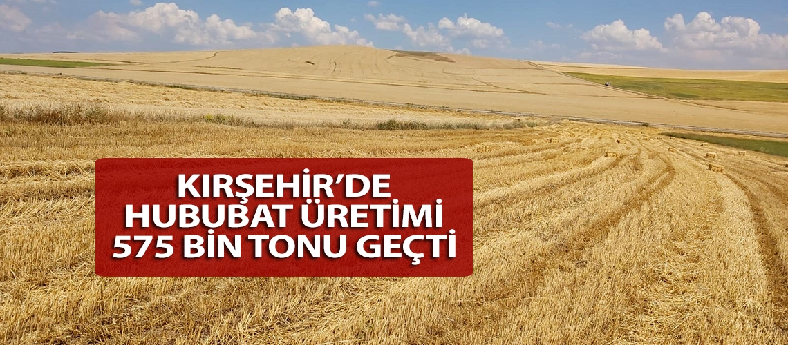 Kırşehir’de hububat üretimi 575 bin tonu geçti