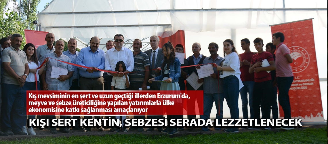 Kışı sert kentin, sebzesi serada lezzetlenecek