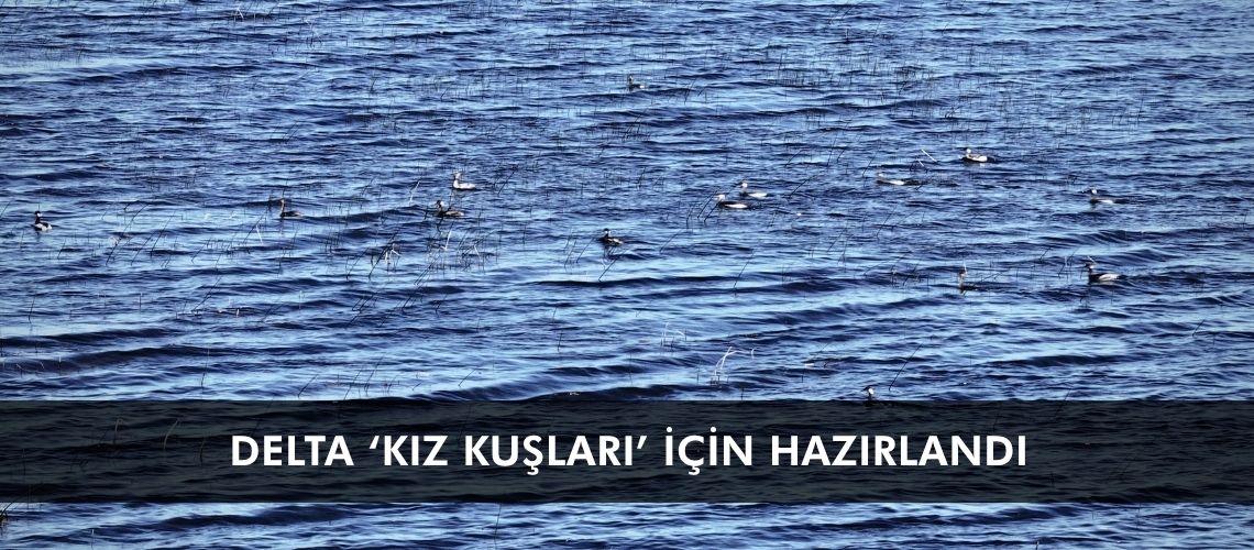 Delta ‘kız kuşları’ için hazırlandı