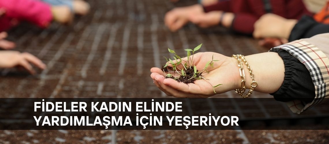 Fideler kadın elinde yardımlaşma için yeşeriyor