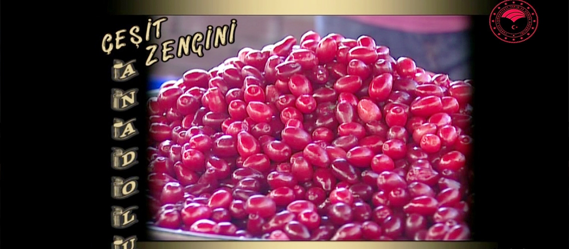 Çeşit Zengini: Kızılcık