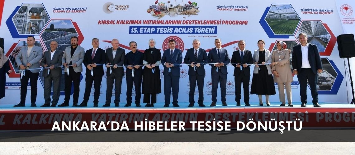 Ankara’da hibeler tesise dönüştü