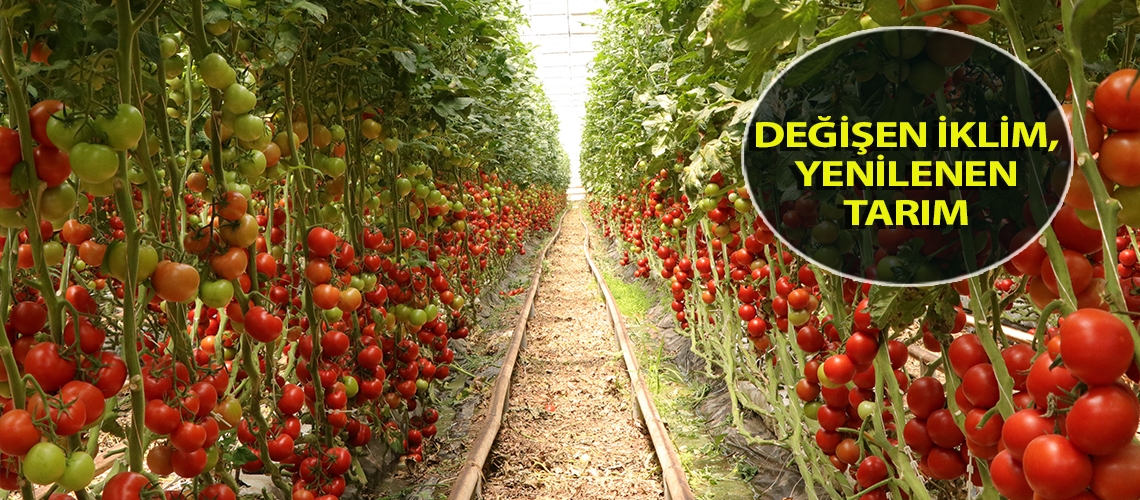 Değişen iklim, yenilenen tarım