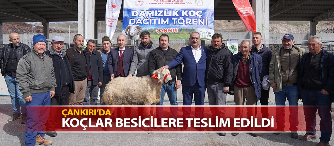 Çankırı’da koçlar besicilere teslim edildi