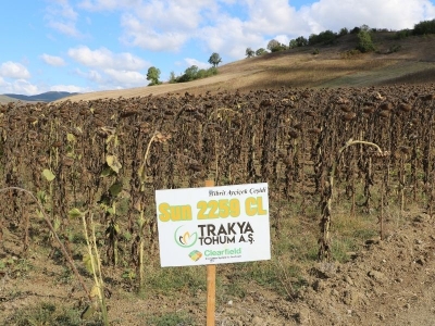 Kocaeli Derince ’de tarıma çifte destek