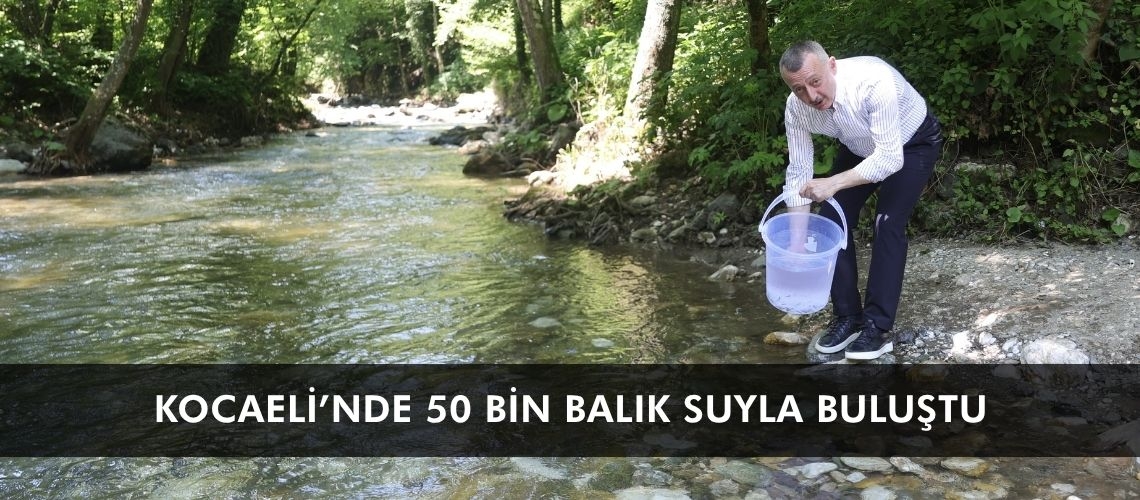 Kocaeli’nde 50 bin balık suyla buluştu