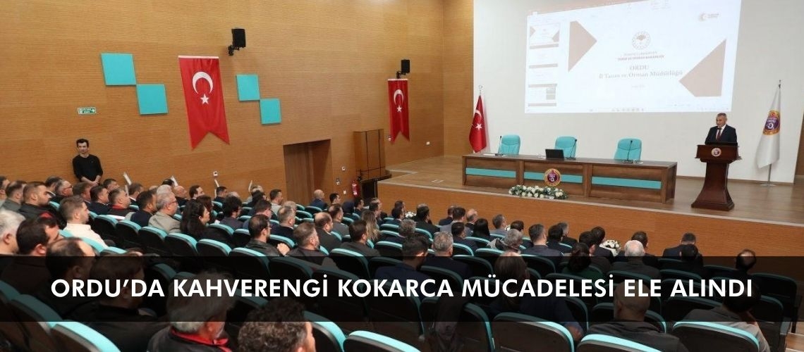 Ordu’da kahverengi kokarca mücadelesi ele alındı
