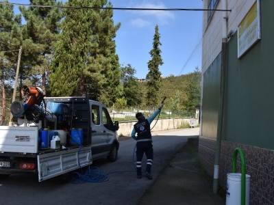 Trabzon’da kahverengi kokarca mücadelesi