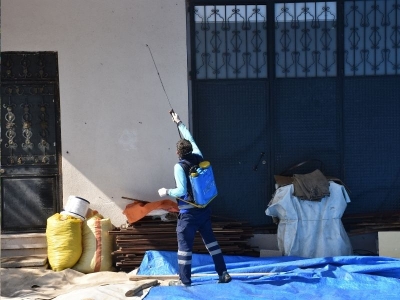 Kahverengi kokarcaya karşı 1 milyon ev ilaçlandı