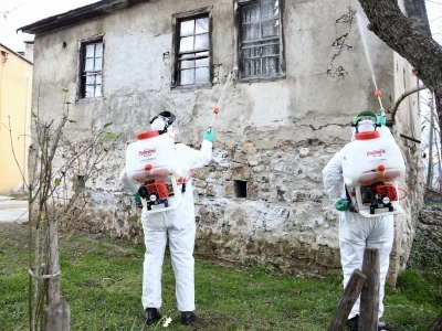Giresun’da kahverengi kokarcayla mücadele