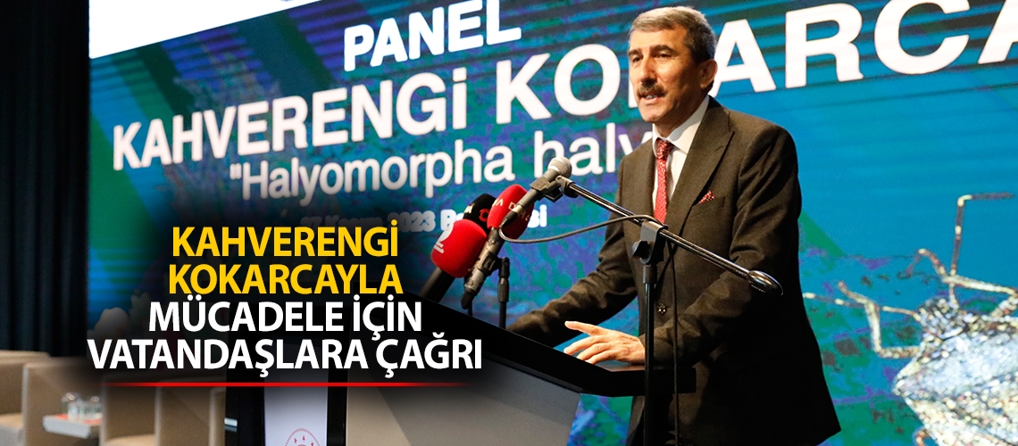 Kahverengi kokarcayla mücadele için vatandaşlara çağrı