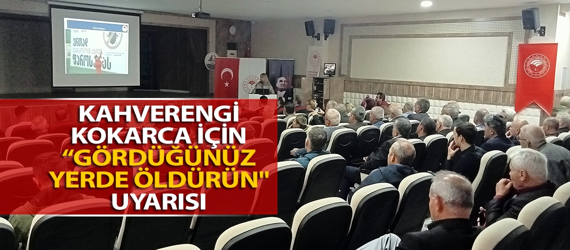 Kahverengi kokarca için “gördüğünüz yerde öldürün