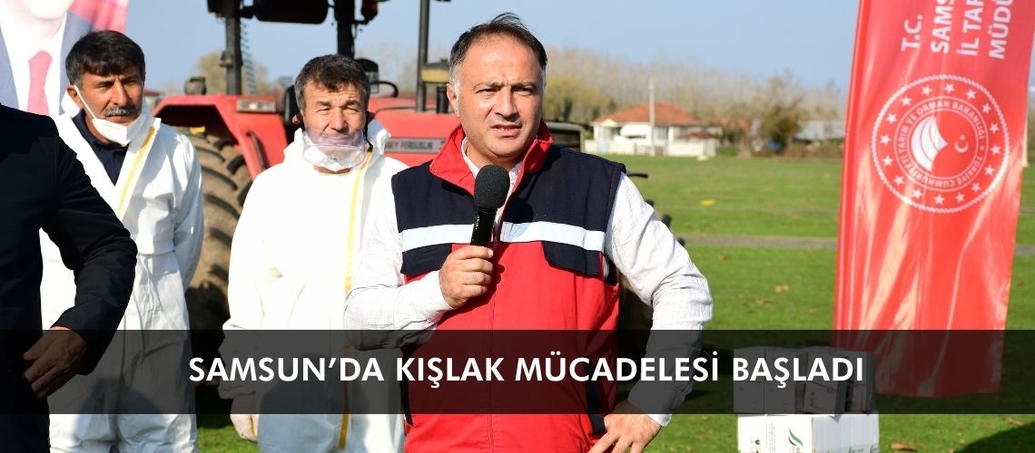 Samsun’da kışlak mücadelesi başladı