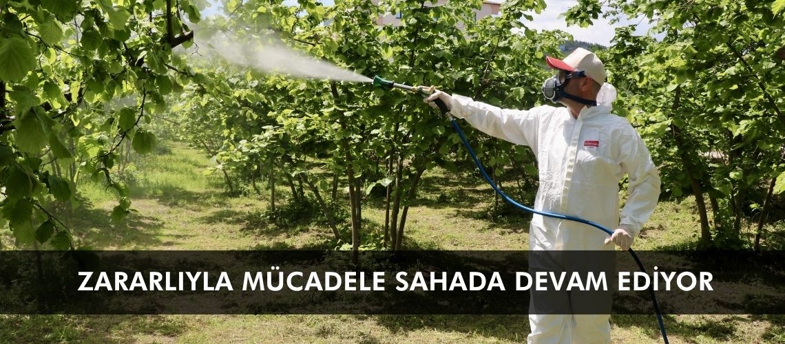 Zararlıyla mücadele sahada devam ediyor