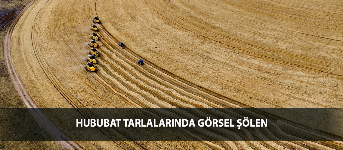 Hububat tarlalarında görsel şölen