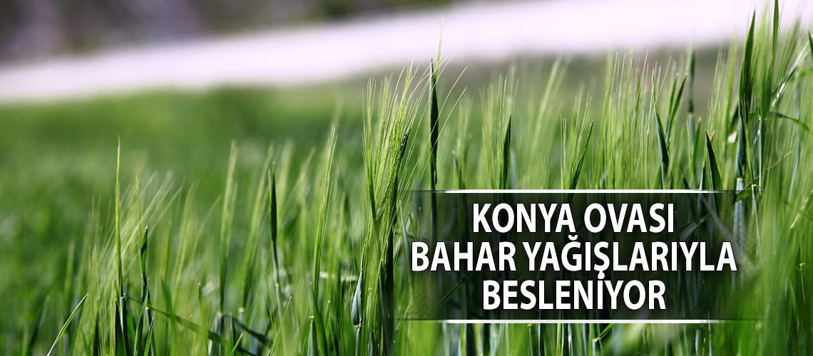 Konya Ovası bahar yağışlarıyla besleniyor